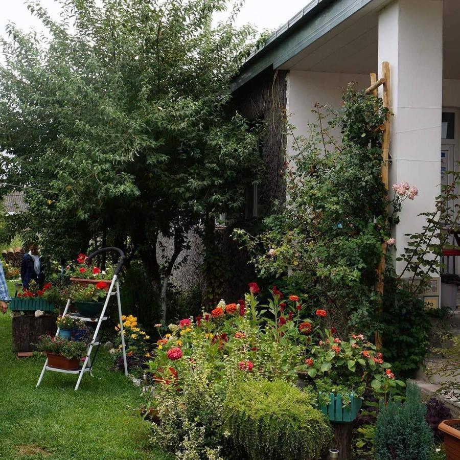 Leila'S Guest House Joqolo Exterior foto